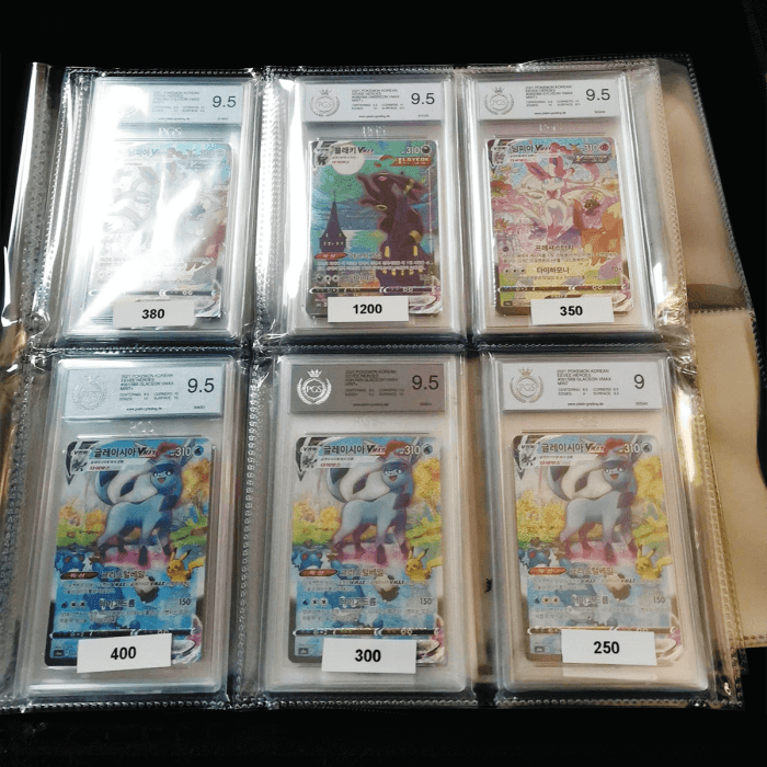 Sammelmappe | Graded Card Binder